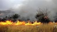آتش‌سوزی در مراتع و جنگل‌های کوهدشت/ تاکید نماینده مجلس بر بکارگیری تمام ظرفیت‌ها برای اطفای حریق