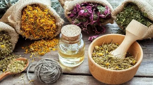 با این آنتی بیوتیک های گیاهی عفونت ها را ضربه فنی کنید