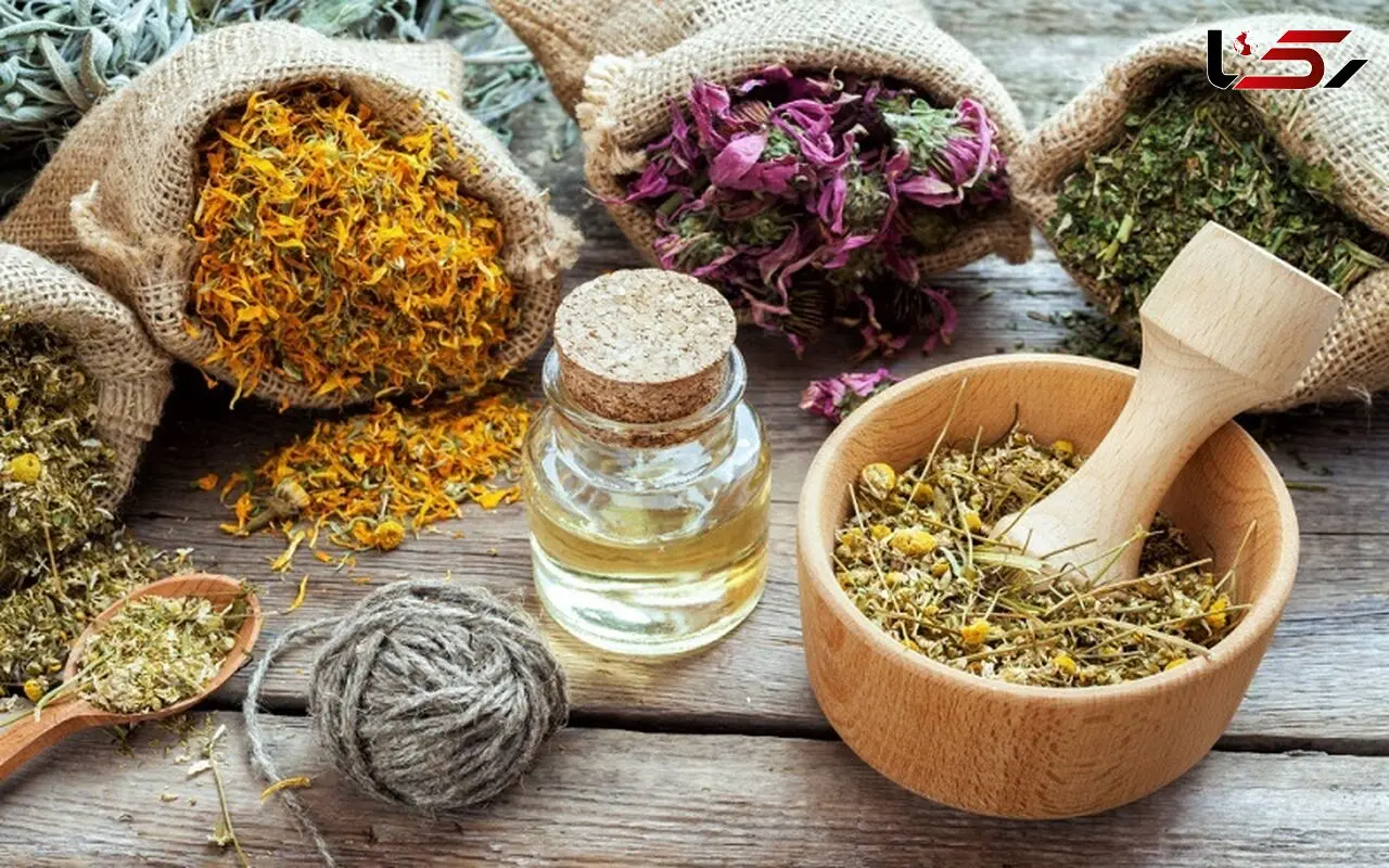 با این آنتی بیوتیک های گیاهی عفونت ها را ضربه فنی کنید