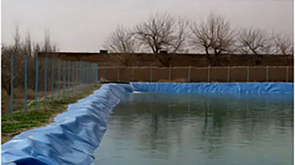 سرنوشت شوم خواهر و برادر در استخر / پدر چه صحنه ای دید؟ / کاشمر 