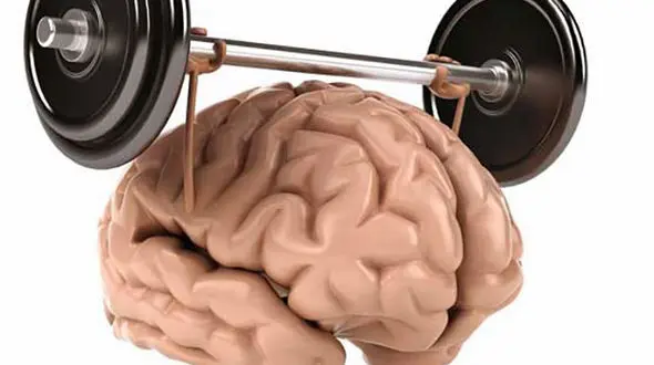 9 کاری که مغز را نابود می کند 