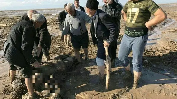 کشته های سیل در آذربایجان شرقی به 42 نفر رسید +فیلم و عکس