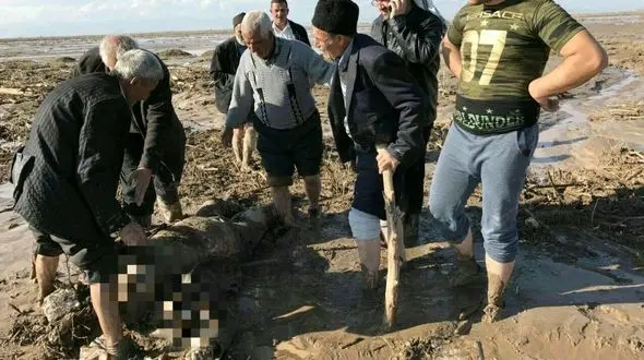 کشته های سیل در آذربایجان شرقی به 42 نفر رسید +فیلم و عکس