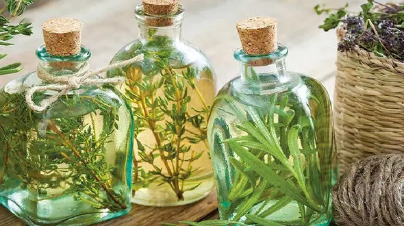 فواید 8 عرق گیاهی 