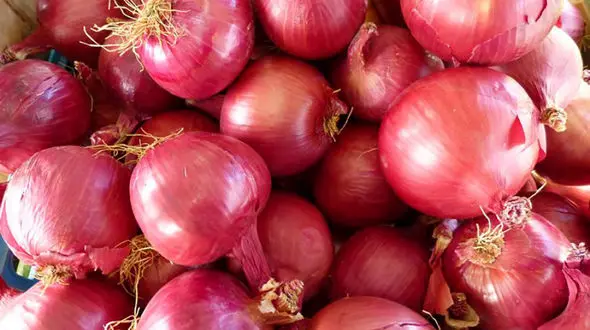 پیاز ارزان نشد / صادرات انجام نشود