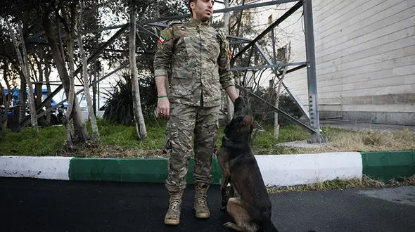 فیلم جالب از سگ پلیس که مواد را از مجرم کشف کرد! / در تهران رخ داد