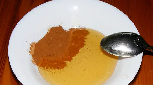 20 خاصیت مصرف همزمان عسل و دارچین + طریقه مصرف