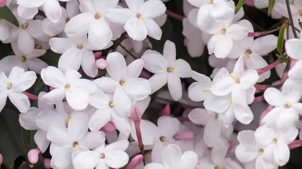 فال ابجد امروز / 4 آبان ماه + فیلم 