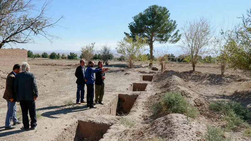 کارتون خواب