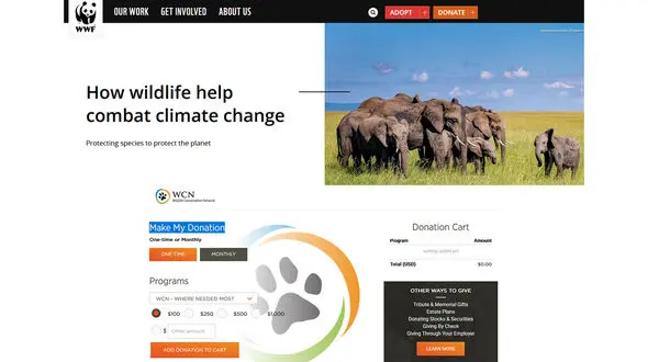 فقط دوست داشتن پیروز و حیات وحش کافی نیست دونیت کنید!