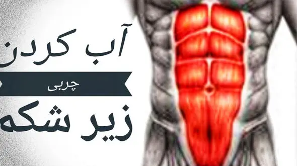 راهکارهای چربی سوزی زیر شکم