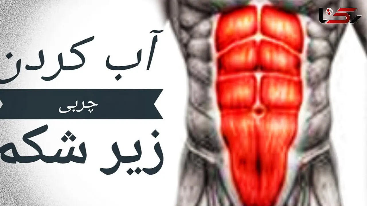 راهکارهای چربی سوزی زیر شکم