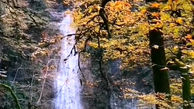 آبشار جنگل های جلیسان + فیلم