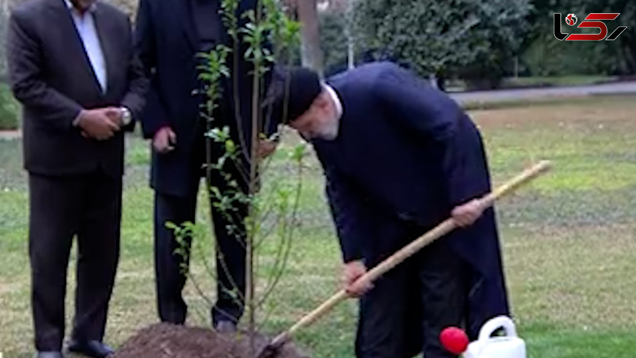  کاشت درخت به دست رئیس‌جمهور در روز درختکاری