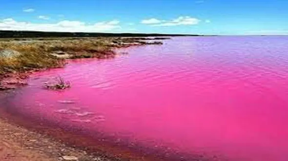 تالابی که 5 ماه در سال آب آن صورتی است