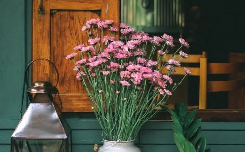 خانه سارا خوئینی ها