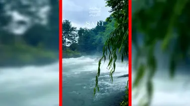 فیلم طبیعت دیدنی ساری