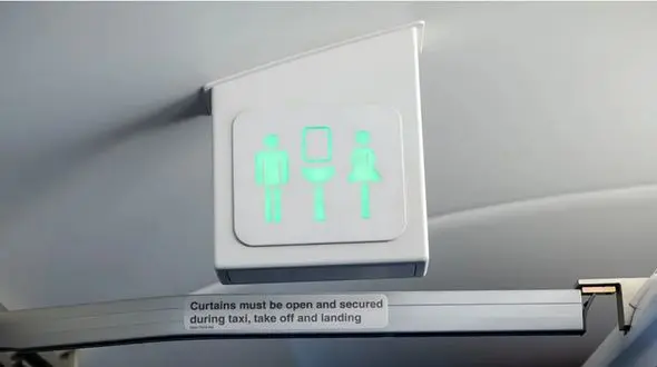 یک زن انگلیسی به دلیل بیرون رویی شدید  از هواپیما اخراج شد 