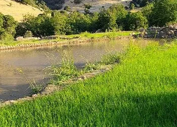 فال ابجد امروز 20 تیر ماه 1405