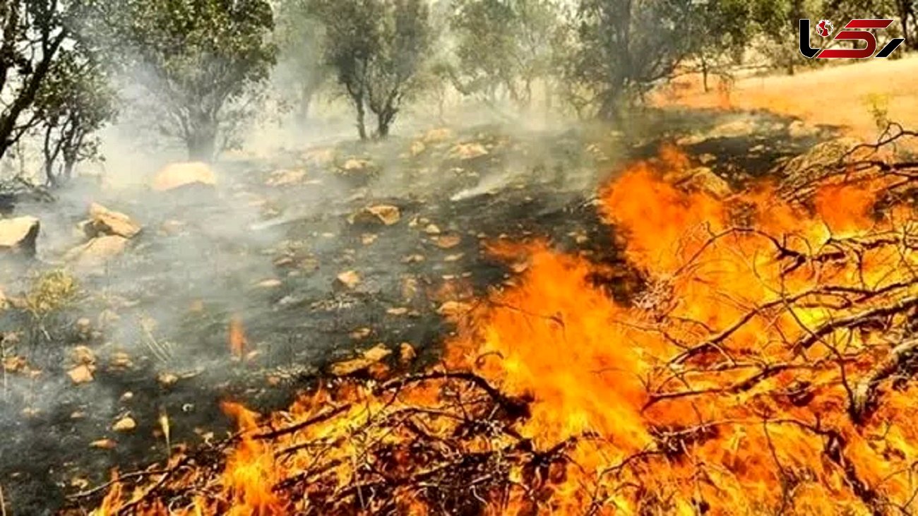 حکمتیان: 20نیرو منابع طبیعی و مردم در نبرد با آتش جنگل های دنا / هنوز درخواست اعزام بالگرد نداشتیم 