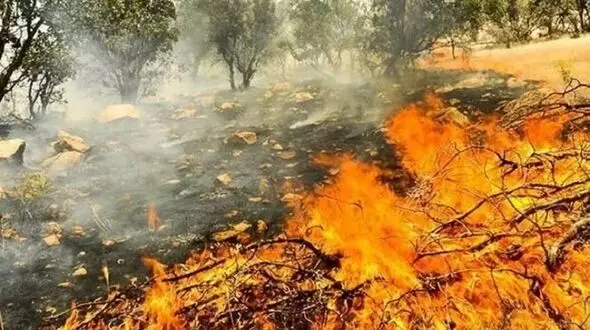 حکمتیان: 20نیرو منابع طبیعی و مردم در نبرد با آتش جنگل های دنا / هنوز درخواست اعزام بالگرد نداشتیم 