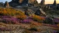 طبیعت بکر جایی برای جلا یافتن روح