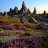 طبیعت بکر جایی برای جلا یافتن روح