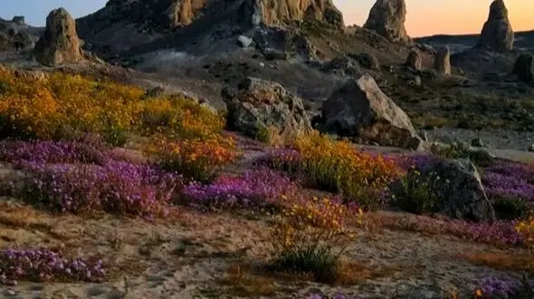 طبیعت بکر جایی برای جلا یافتن روح
