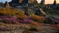 طبیعت بکر جایی برای جلا یافتن روح