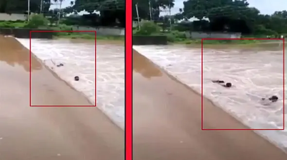 لحظه دلهره آور نجات مرد محلی در حال غرق شدن