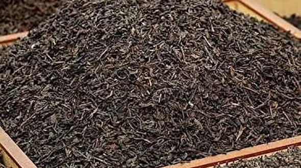 سریلانکا به جای پول نفت به ایران چای می‌ دهد 