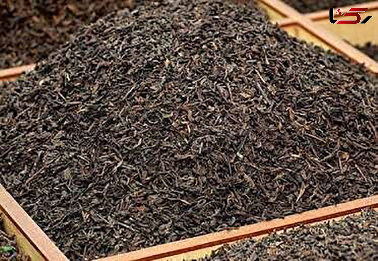 آخرین تغییرات بهای چای در بازار / معرفی عامل نوسانات قیمتی چای