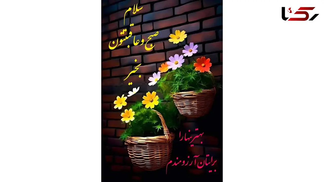 فال روزانه 24 بهمن ماه + فیلم 