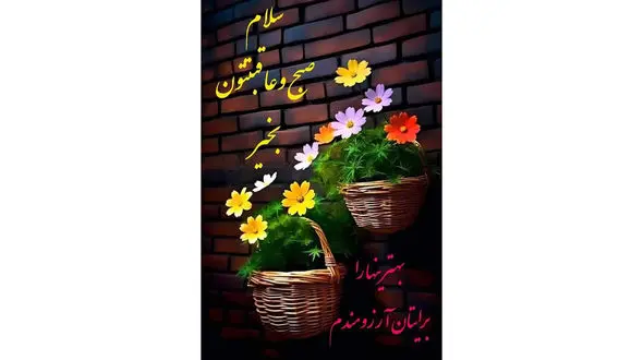 فال روزانه 24 بهمن ماه + فیلم 