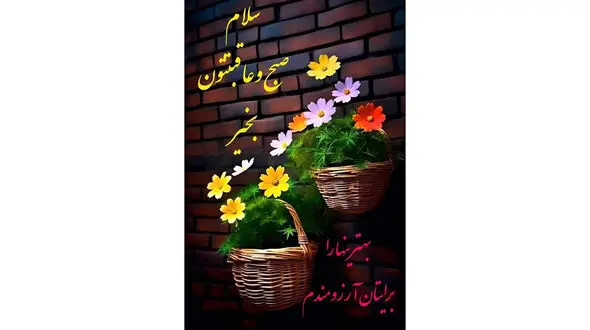 فال روزانه 24 بهمن ماه + فیلم 