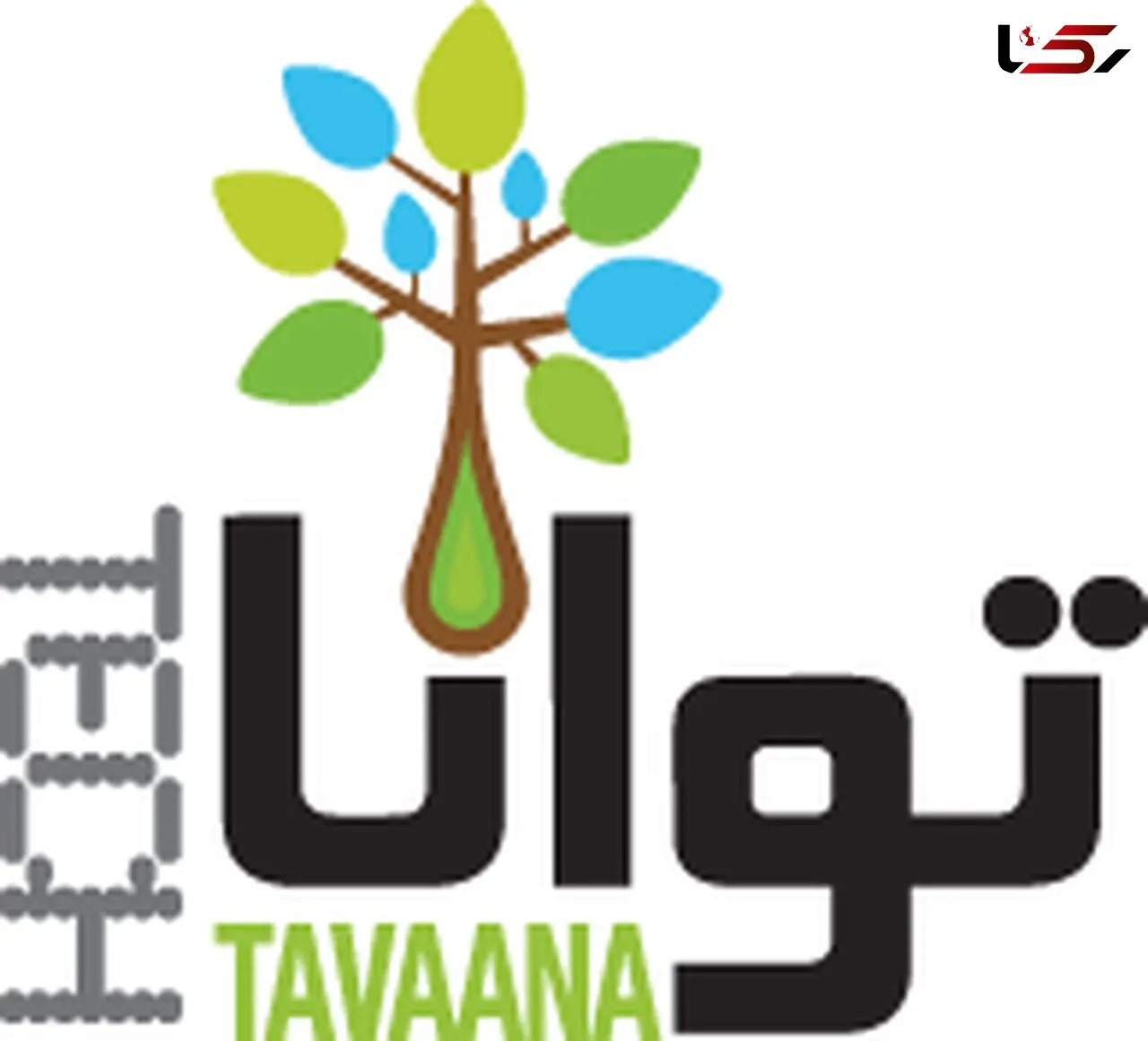 3 شهروند خبرنگار بازداشت شدند / فیلم های باند تواناتک چه محتوایی داشت؟