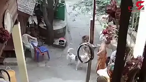 حمله وحشیانه راهب بودایی به پسر معلول + فیلم 