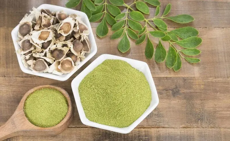 مورینگا