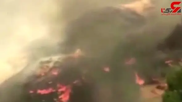 آتش سوزی مهیب جنگلی در ایالت کالیفرنیای آمریکا + فیلم 