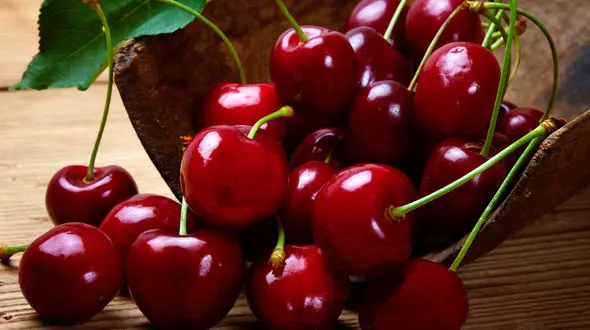 طرز تهیه ۵ خوردنی ساده و خوشمزه با آلبالو که امتحان نکرده‌اید
