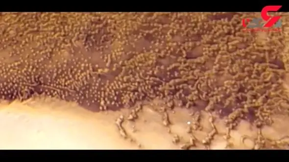 کشف گله‌ای حیوان در مریخ! + فیلم 