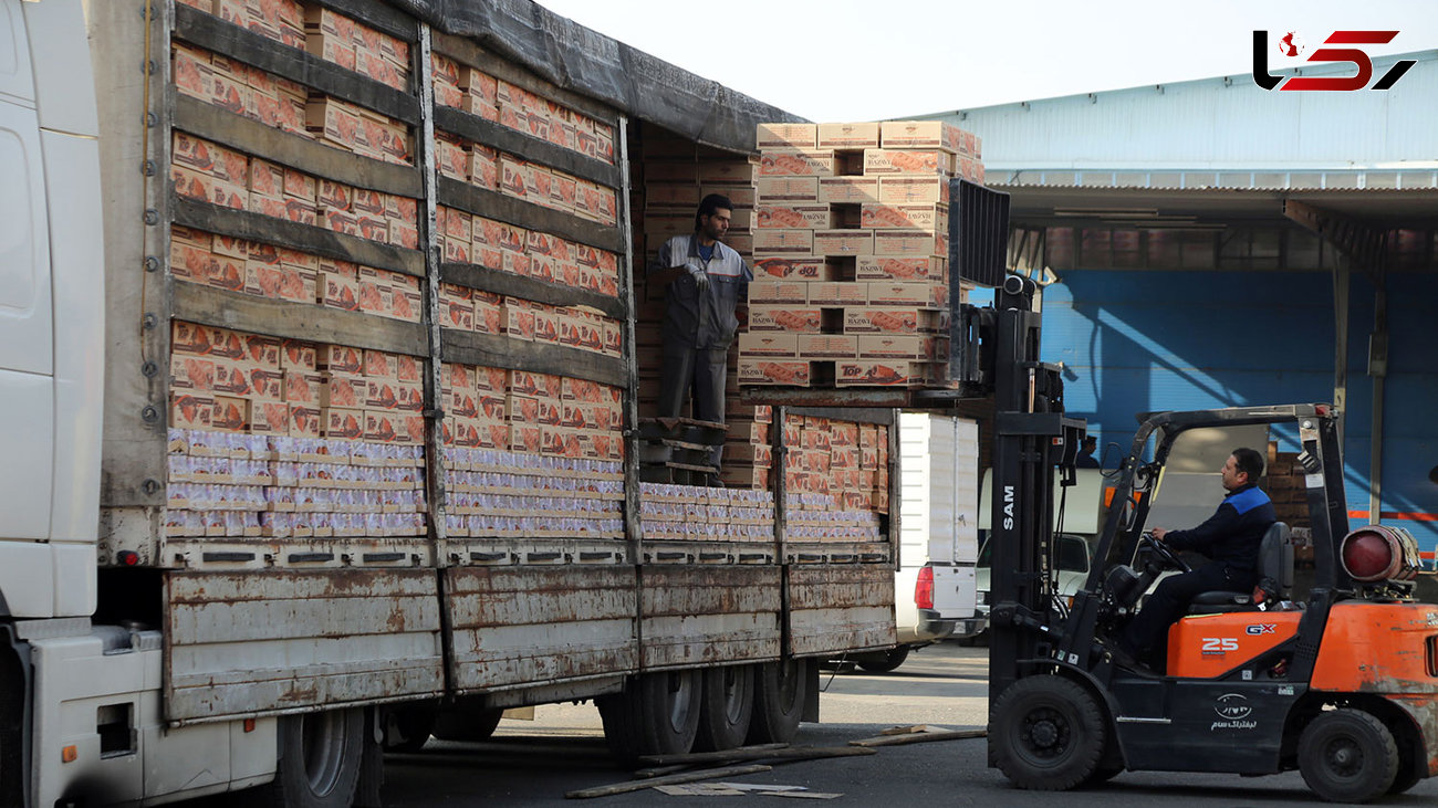 3 بندر ایران آماده صادرات میوه و غذا به قطر از هفته آینده