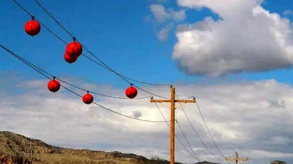 آیا توپ‌ های رنگی روی سیم‌ های برق فقط دکور هستند؟