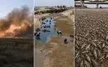 هورالعظیم دوباره در آتش/ لیندا آشتیانی: حقابه ۱۵ سال پرداخت نشد /آب را ندادند، تجهیزات اطفا هم نمی‌دهند/نیزارهای خشک؛ بمب ساعتی هورالعظیم شده‌اند / گاومیش ها و ماهیان در حال مرگ + فیلم