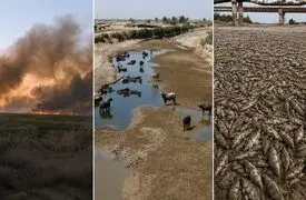 هورالعظیم دوباره در آتش/ لیندا آشتیانی: حقابه ۱۵ سال پرداخت نشد /آب را ندادند، تجهیزات اطفا هم نمی‌دهند/نیزارهای خشک؛ بمب ساعتی هورالعظیم شده‌اند / گاومیش ها و ماهیان در حال مرگ + فیلم