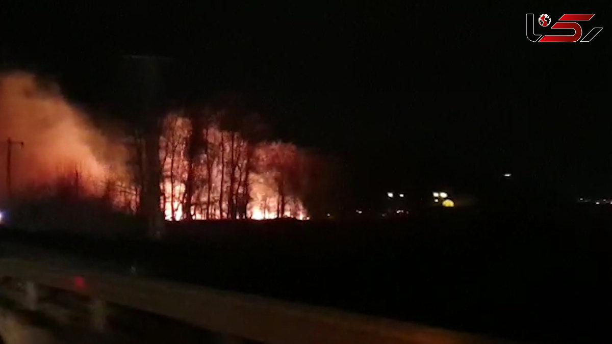 فیلم نمای نزدیک آتش سوزی در جنگل های رشت / لحظه به لحظه با عملیات آتش نشانان