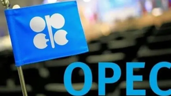 دبیر کل اوپک درگذشت