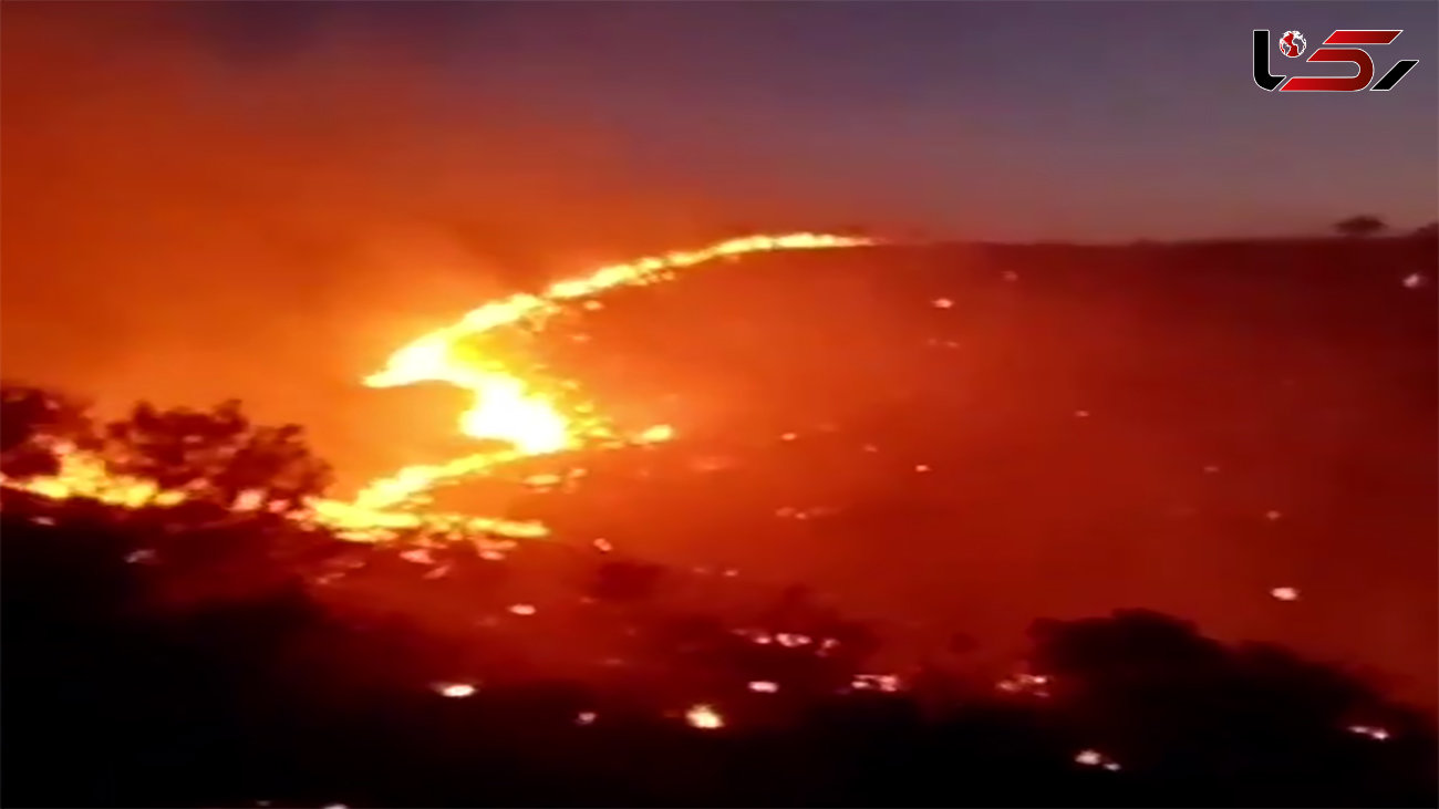 آتش سوزی تاسفبار در ارتفاعات تنگه هایقر استان فارس + فیلم تکاندهنده