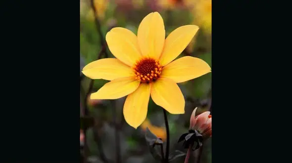 فال ابجد امروز / 17خرداد ماه + فیلم 