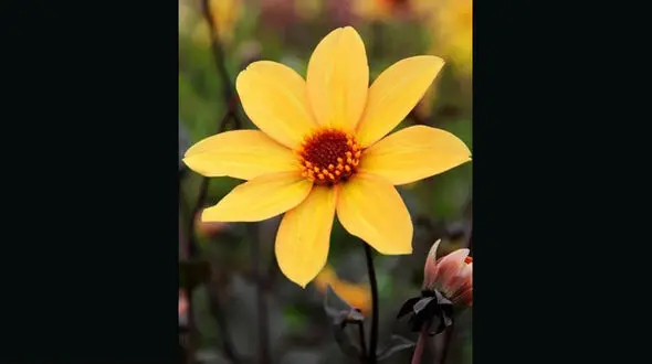 فال ابجد امروز / 17خرداد ماه + فیلم 